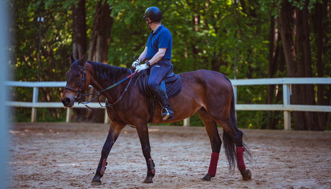 Carrière équestre avec sable - cavalier à l'entraînement